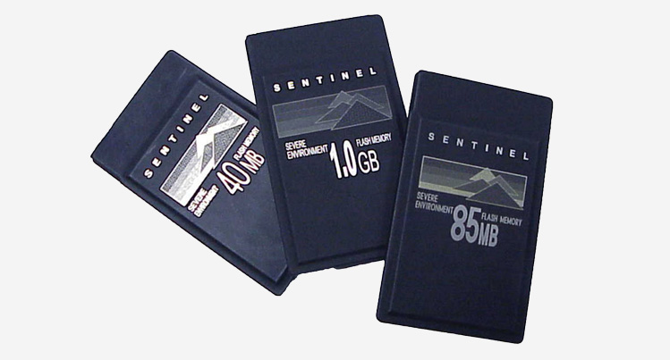 sentinel pc cards